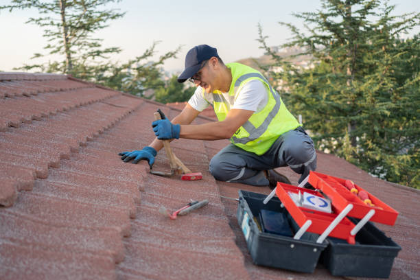 Quick and Trustworthy Emergency Roof Repair Services in Spring Park, MN